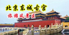 肏爆大奶免费在线中国北京-东城古宫旅游风景区